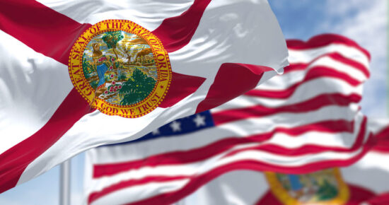 The Florida State Flag